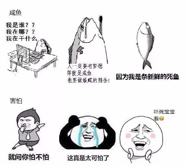 送一波专属于程序员的表情包请接收