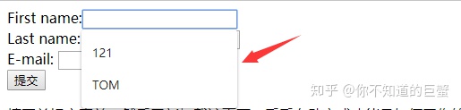 html input 字体颜色_input使用小技巧-CSDN博客