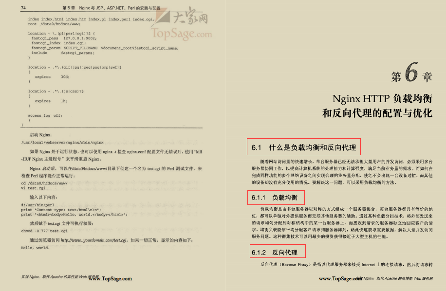 阿里内部力荐:“性能怪兽”Nginx+Redis高阶文档开源