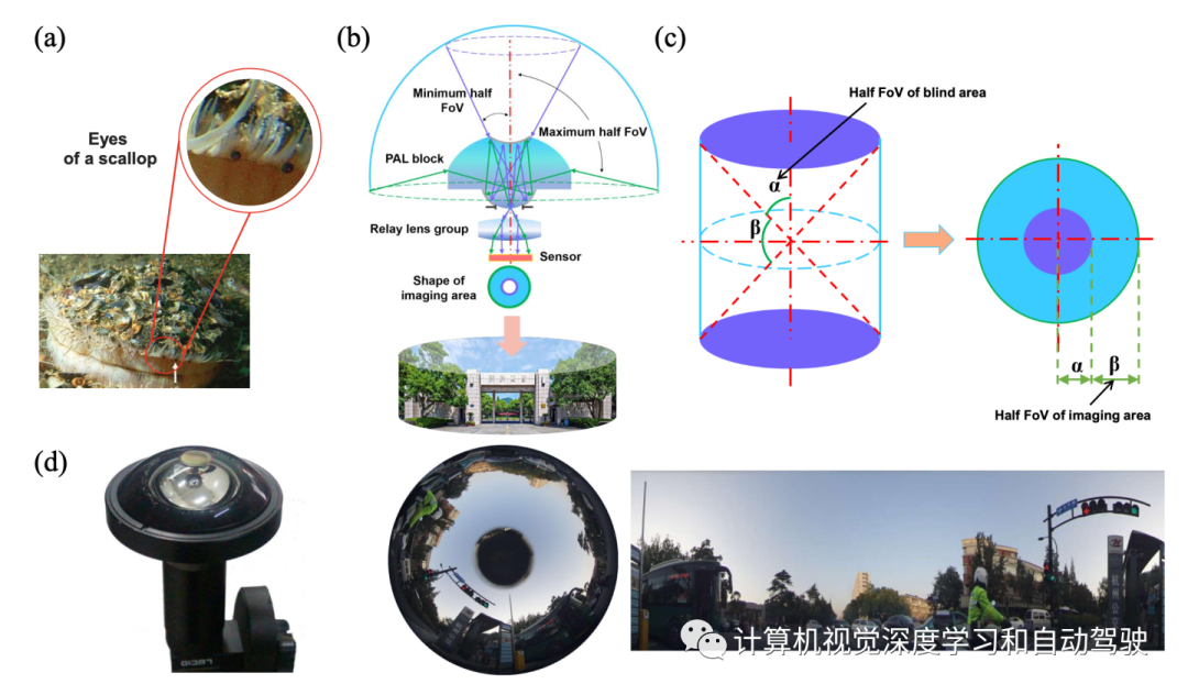 Panoramic Insight Panoramic Imaging及其应用于场景理解的综述-CSDN博客