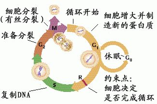 c742d31b73930acaa948d573e9c5a2d9.png