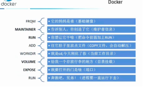 image-20201024153732905