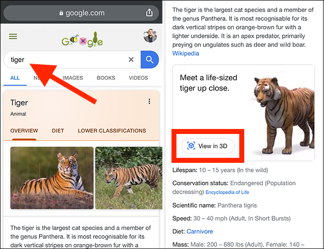 Type your search term in Google, and then tap "View in 3D."