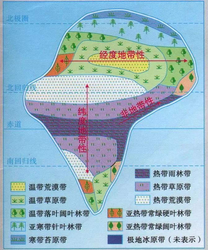 各自然带代表植被问答世界陆地自然带有哪些类型这些陆地自然带的分布