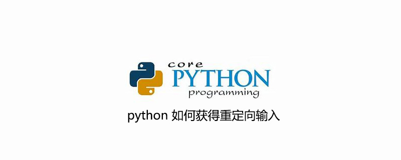 python 如何获得重定向输入