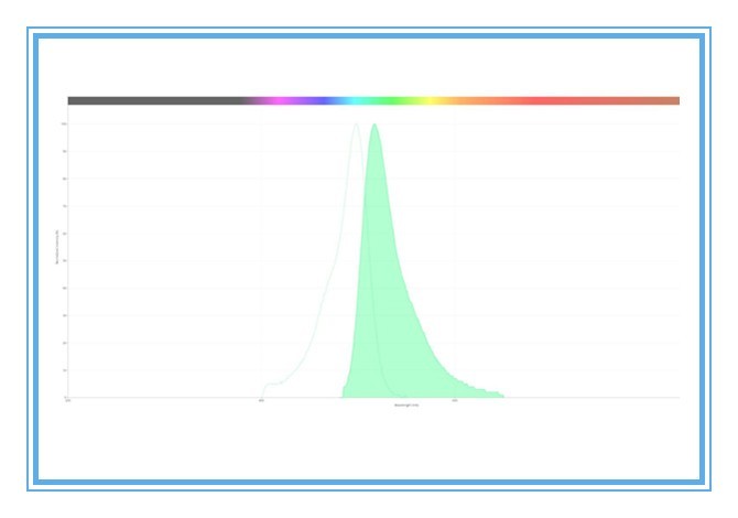 绿色荧光试剂210236-90-1,Fitc-TSA,Fluorescein TSA,Fitc-Tyramide荧光素酪胺