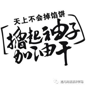 谈谈一个程序媛的cfa以及frm学习之旅 Mr洁儿的博客 程序员信息网 程序员信息网