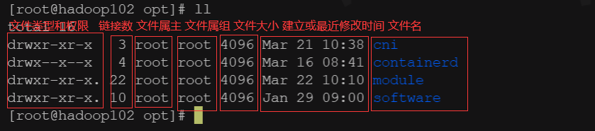 image-20220411205959885