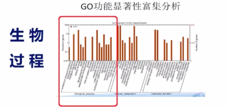 c8461942b1a640e1e032e74368c28cae.png