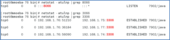 mysql amoeba 事务_MySQL-Amoeba