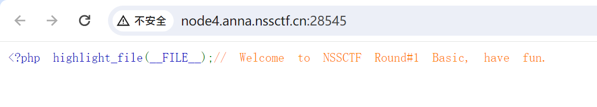 [NSSRound#1 Basic]basic_check