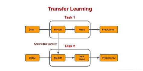 PyTorch 迁移学习 (Transfer Learning) 代码详解_userwarning: best weights from ...