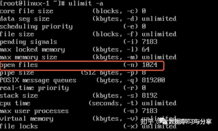 linux修改文件句柄数生效_linux系统层面调优和常见的面试题