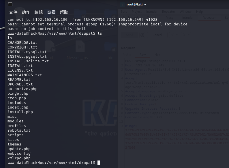 image-20230811164653704