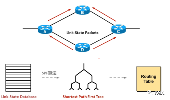 ospf协议基本原理_什么不是动态路由协议