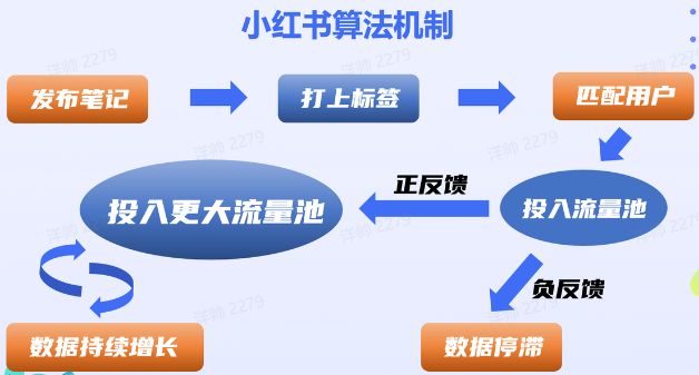 c92b6e45c64b6492292cc07c3ac8fcd7.jpeg