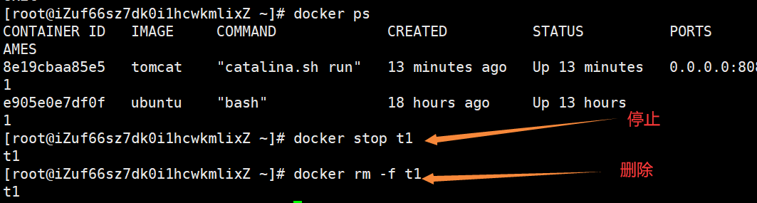 image-20220427113440405