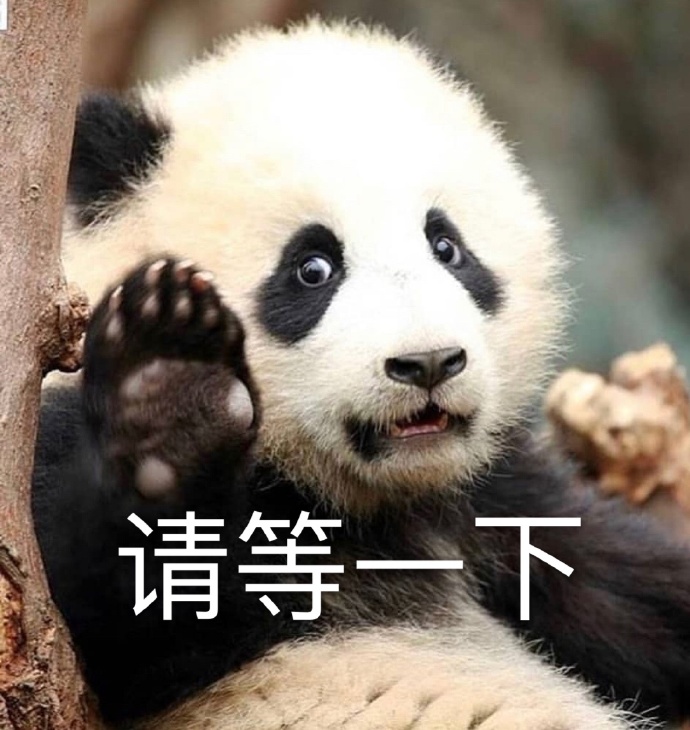 接下来就是逐帧排查!