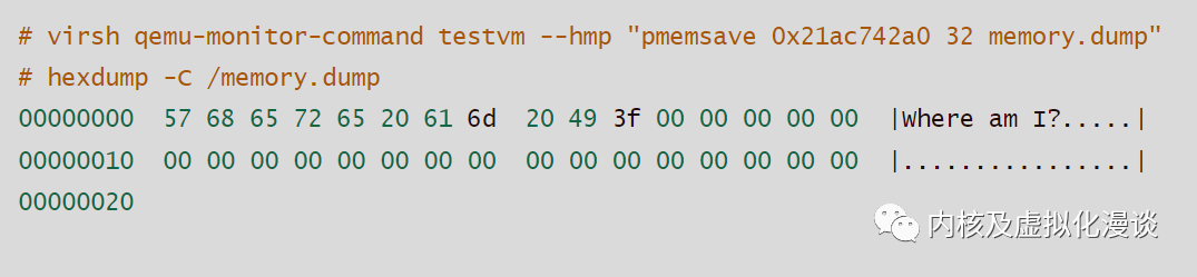 在host上窥探kvm虚拟机内存