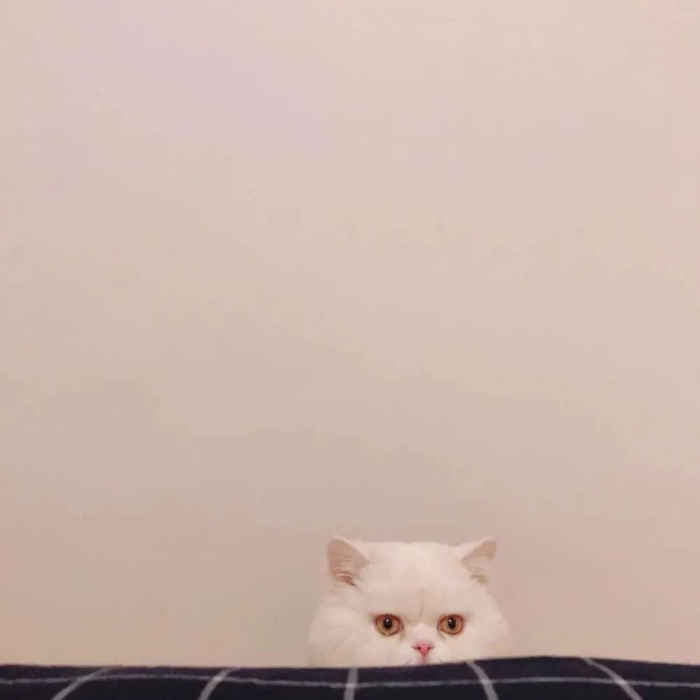 保护眼睛的背景图绿色