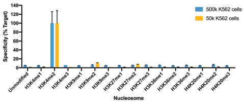 Histone H3K4me2 Antibody, SNAP-Certified™ for CUT&RUN