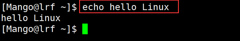 image-20220313113246792