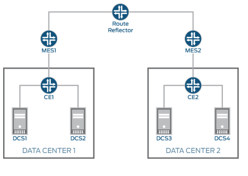 图 1:典型的 EVPN 图。