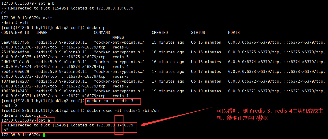 image-20230323202956071