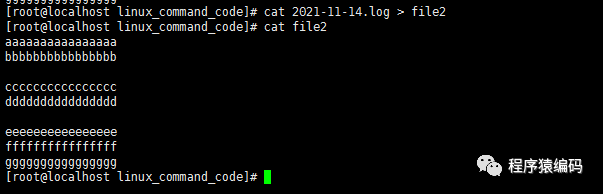 Linux下cat命令详解及C/C++代码实现_cat指令-CSDN博客