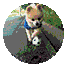 c9e473e33b1384d5ded227542c87cf56.gif