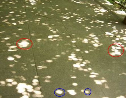 小孔成像实验探究的软件秒懂秒会小孔成像原理与规律