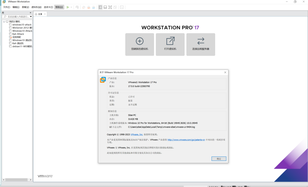 图片[1] - VMware Workstation Pro v17.5.2 官方版+激活秘钥 - 极核GetShell