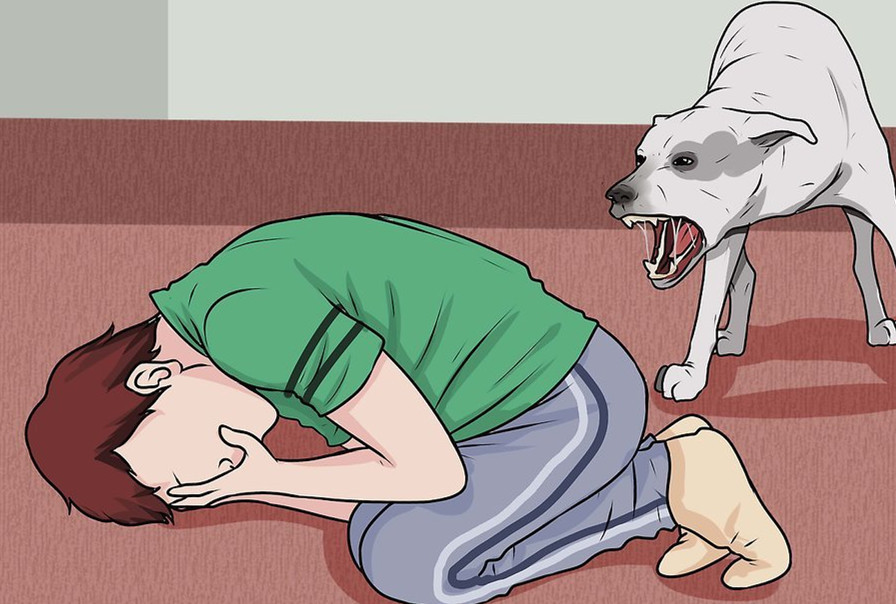 java咬人的狗问题狗咬人怎么办该如何巧妙的应对狗的攻击并进行反击