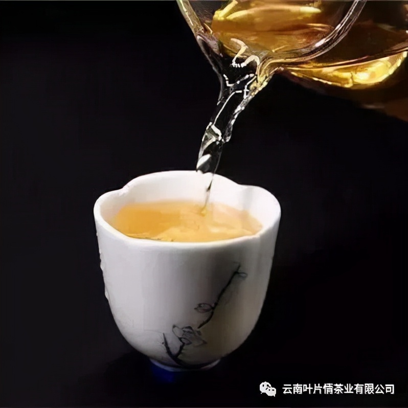 普洱茶知识大全