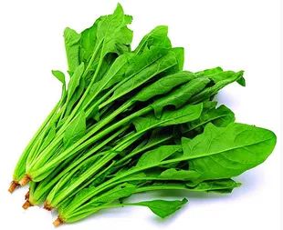 点击查看源网页 ca86cbdaee60f67275f28bec4b06888f.png