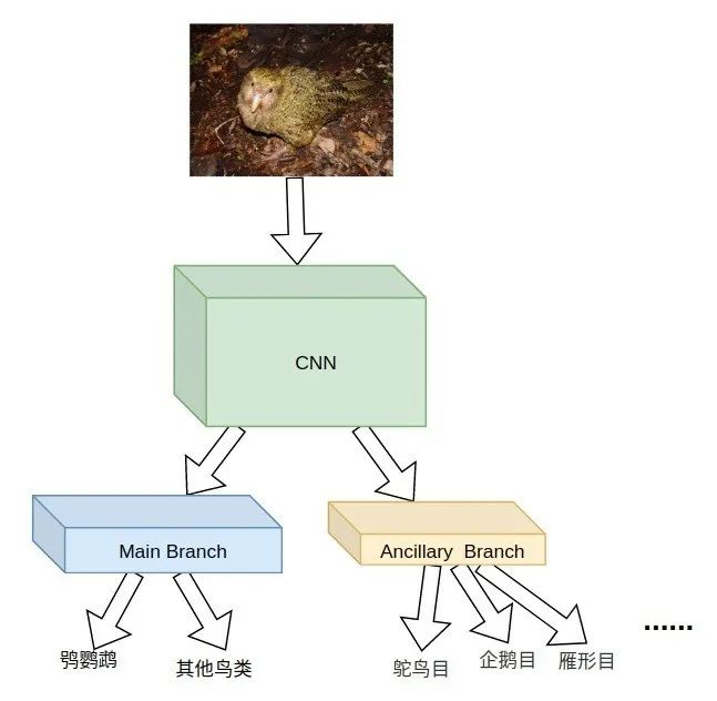 ca9b97dc8d9d313143537fe7e95e3bbc.jpeg