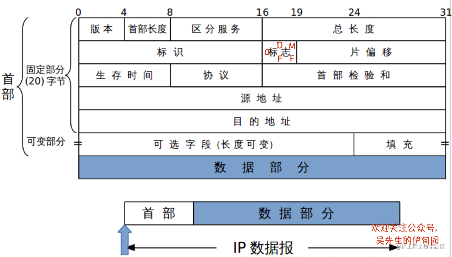 计算机网络知识解析