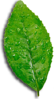 cb1b422fd47922bec41d0942805648ea.png