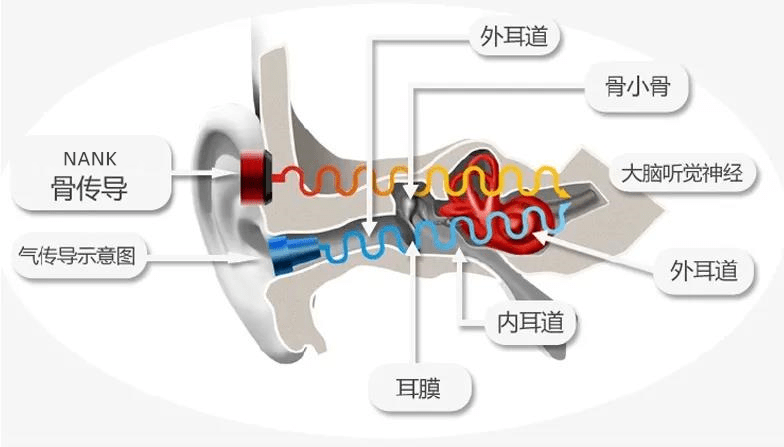 骨传导耳机是智商税吗？骨传导耳机是如何工作的