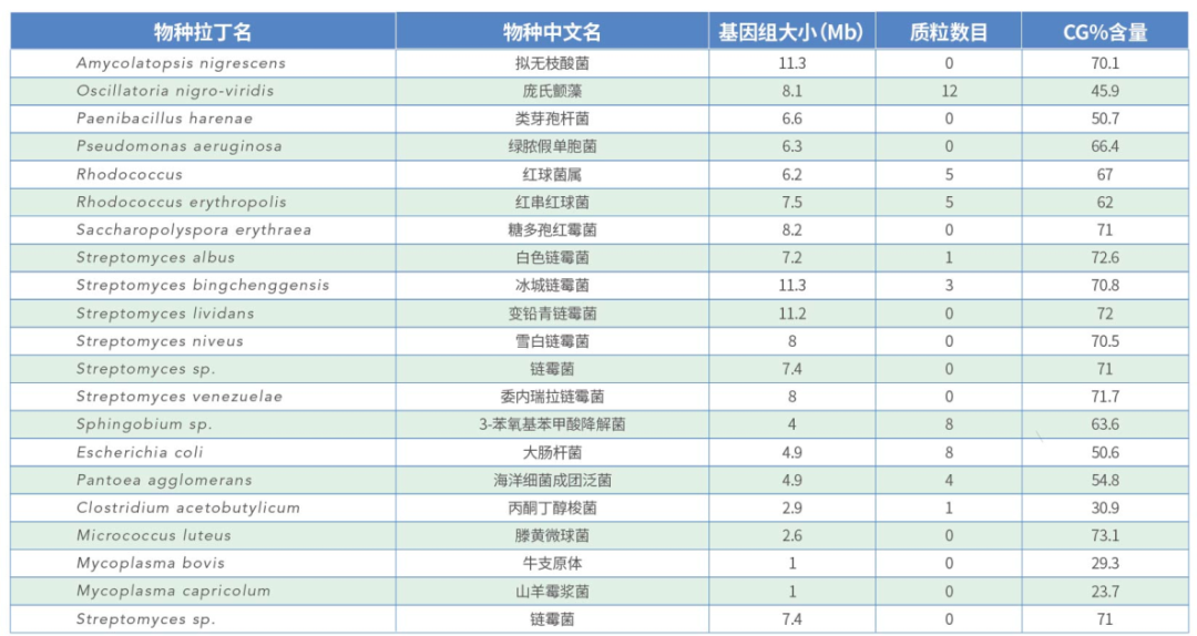 纯享三代HiFi reads，至美细菌完成图，加送质粒基因组！