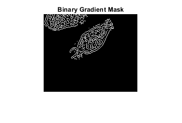 Figure contains an axes. The axes with title Binary Gradient Mask contains an object of type image.