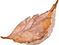 cb88799d50f856fa4aa228beee763625.png