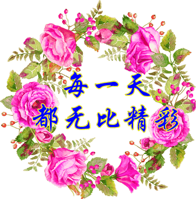 各种抠图动态图片_聊天不用打字图片表情  不打字了动态让图说话