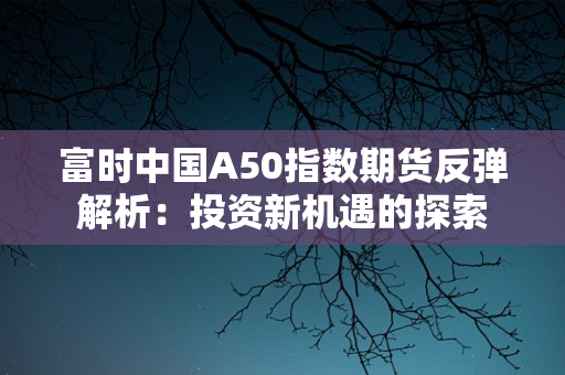 富时中国A50指数期货反弹解析：投资新机遇的探索