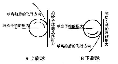 乒乓球六种旋转球图解图片