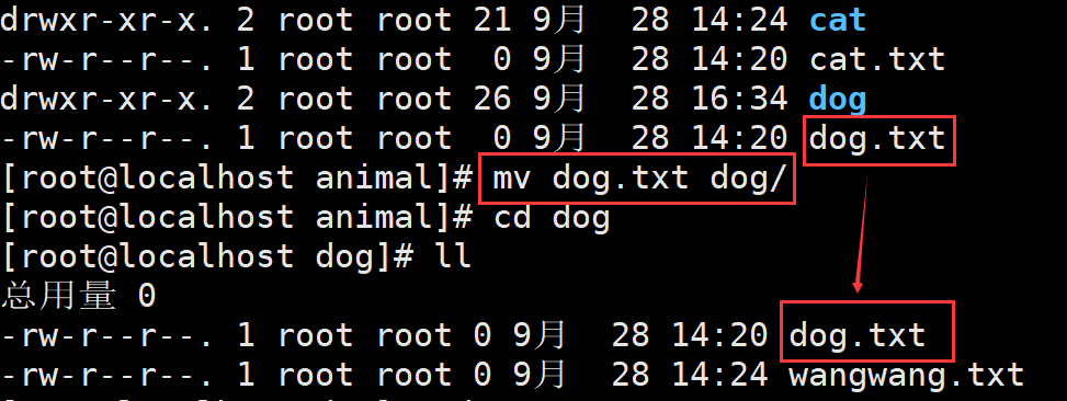 Linux mv命令：移动文件或改名