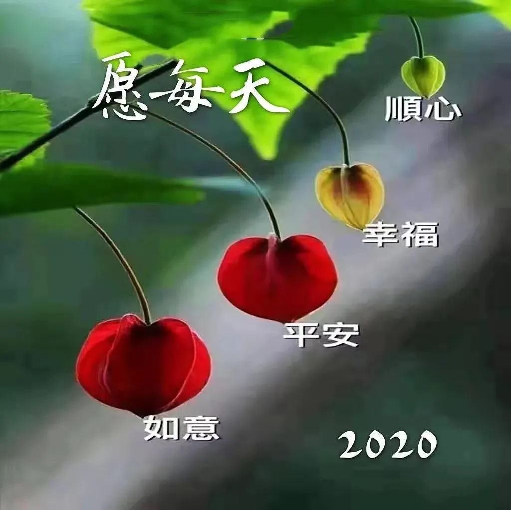 最新emoji表情代码大全_8张最新创意好看的早上好表情图片大全 秋日