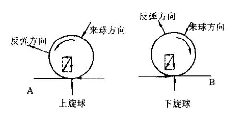 threejs球体旋转与场景旋转乒乓球的六种基本旋转和每种旋转的特点