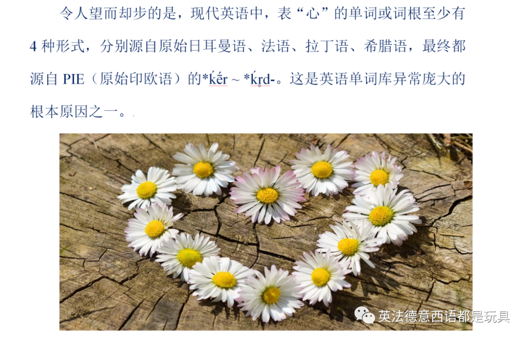 En开头的单词 大道至简 为什么记英语单词要先了解从拉丁语到法语的读音变化 Weixin 的博客 Csdn博客