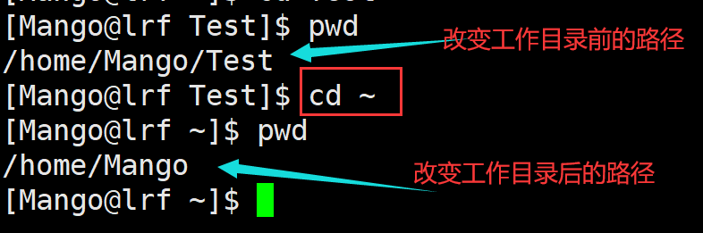 image-20220226221108764